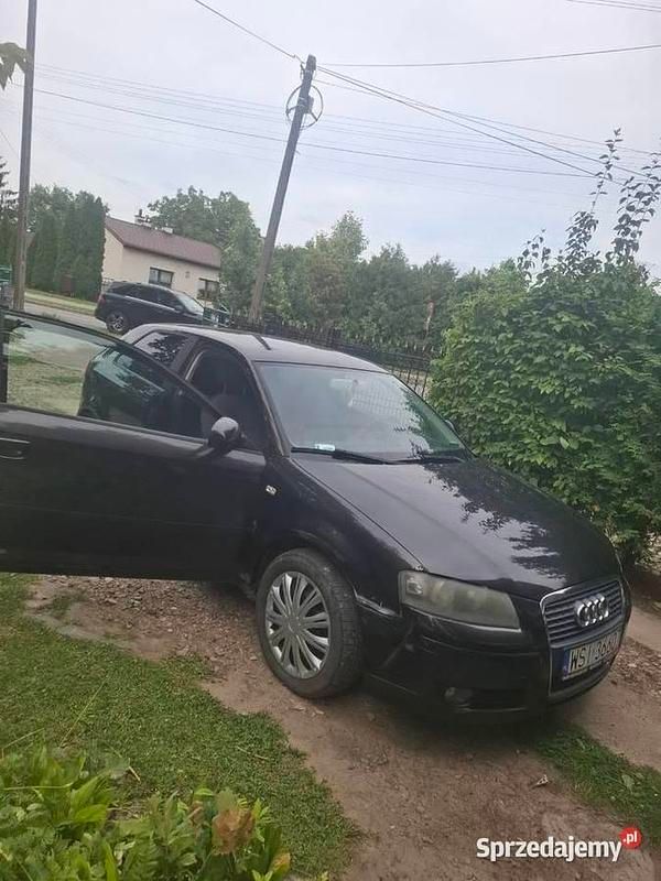 Czarny Używany 2007 Audi A3 Hatchback | 6000 zł - Obraz 1/4