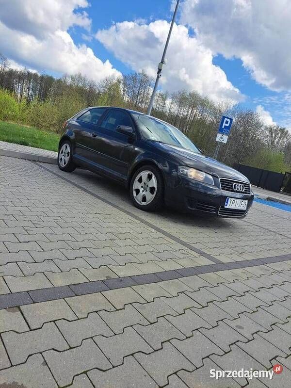 Obraz 1