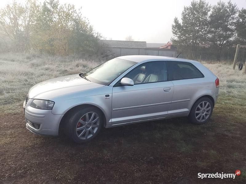 Używany 2003 Audi A3 | 6900 zł (Dość drogi) - Obraz 1/4