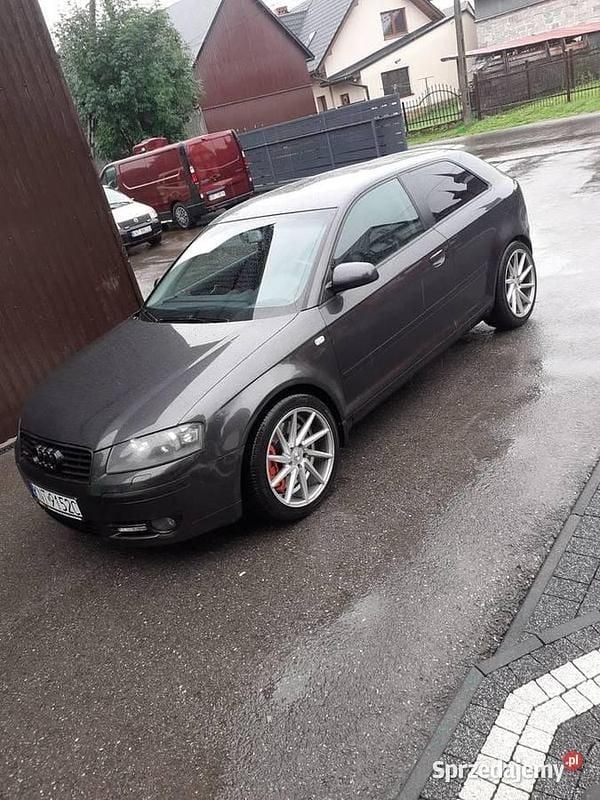 Czarny Używany 2003 Audi A3 Hatchback | 21 000 zł (Uczciwa cena) - Obraz 1/4