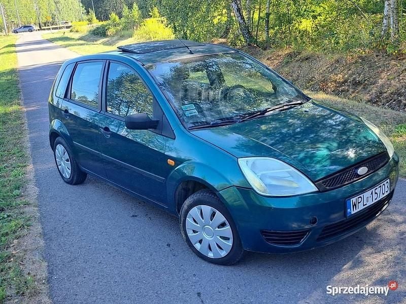 Używany 2003 Ford Fiesta Hatchback | 2900 zł (Uczciwa cena) - Obraz 1/4