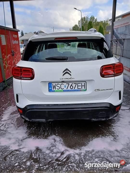 Używany Citroën C5 Aircross 2019 Biały SUV