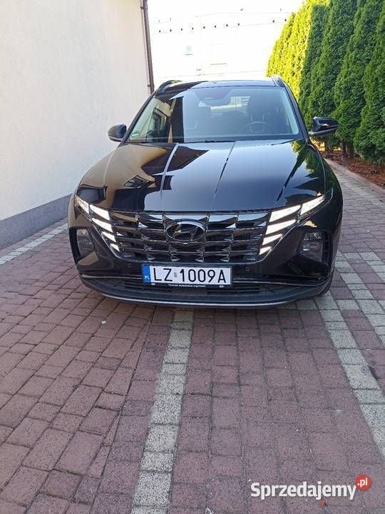 Obraz 1