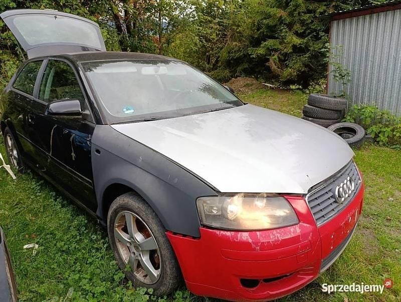 Grafitowy Używany 2005 Audi A3 Hatchback | 5500 zł (Super Cena) - Obraz 1/4