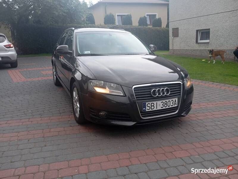 Używany 2008 Audi A3 | 18 900 zł (Uczciwa cena) - Obraz 1/4