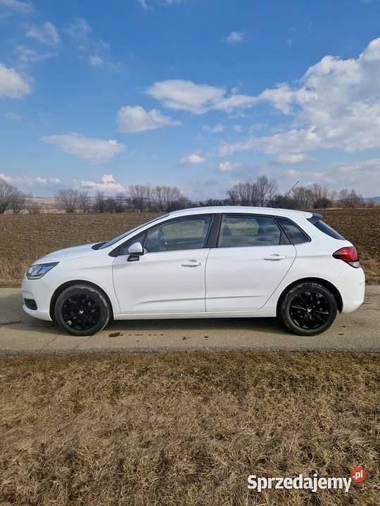 Używany Citroën C4 2017 Biały Hatchback