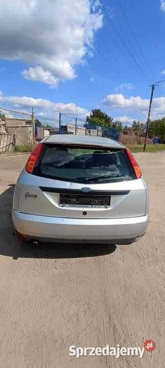 Srebrny Używany 1999 Ford Focus | 1100 zł (Dobra cena) - Obraz 1/4
