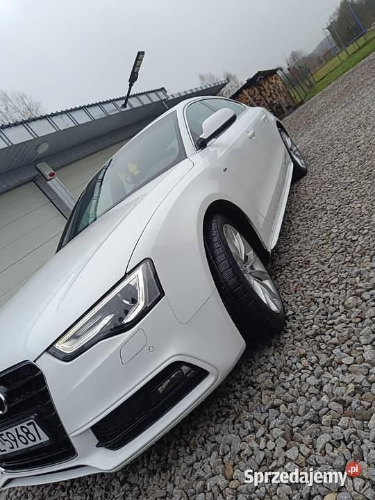 Używany 2015 Audi A5 S-Line | 70 000 zł (Dość drogi) - Obraz 1/4