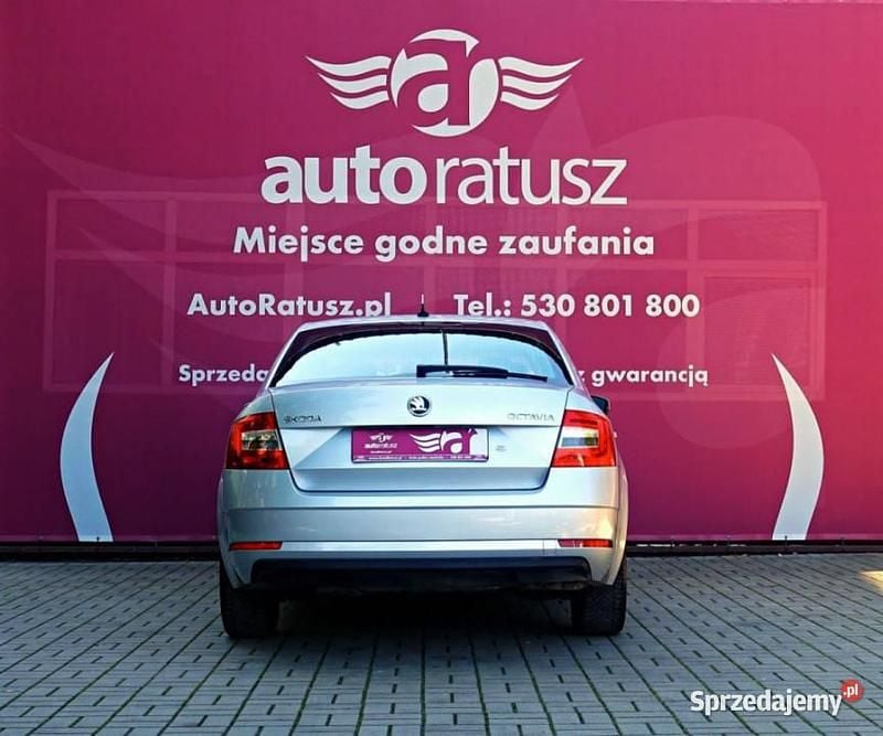Obraz 4/4