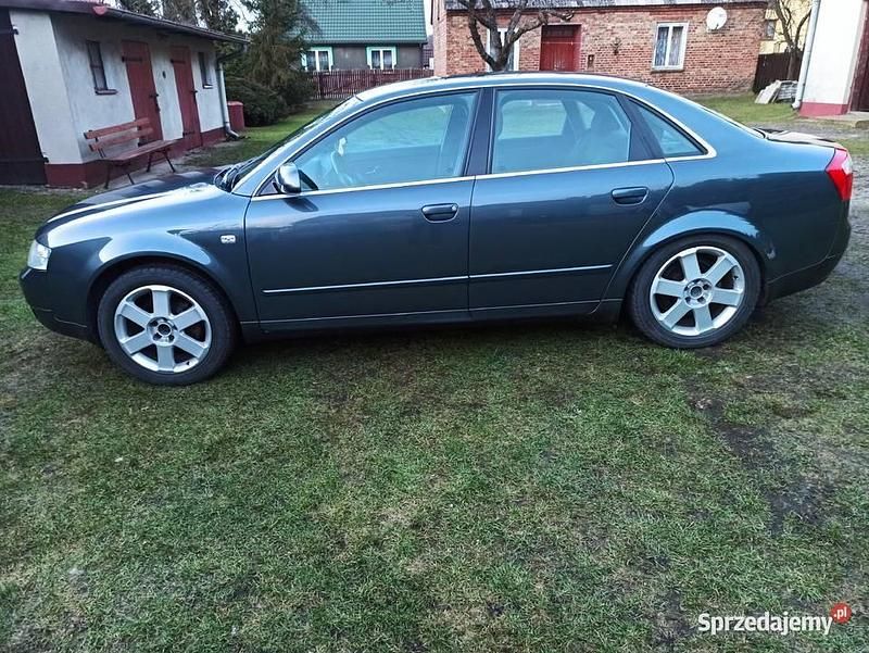 Używany 2003 Audi A4 | 7300 zł (Uczciwa cena) - Obraz 1/4
