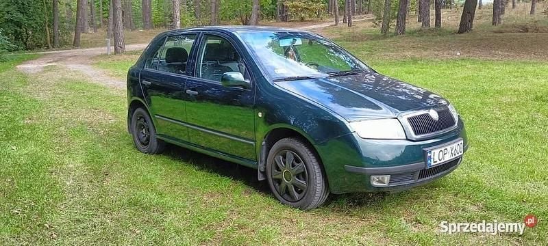 Używany 2002 Skoda Fabia | 3000 zł (Uczciwa cena) - Obraz 1/4