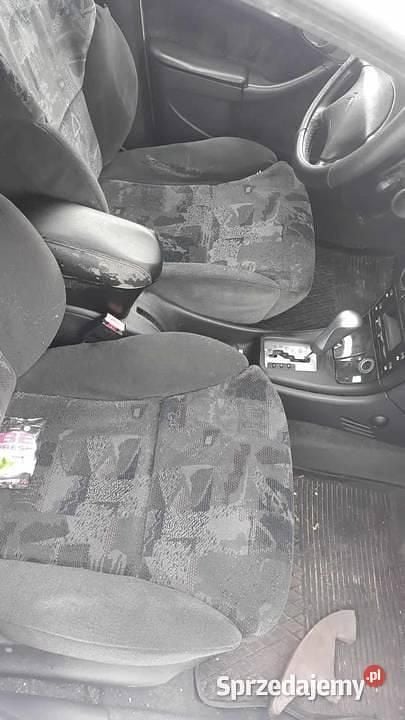 Używany Citroën Xsara 2001