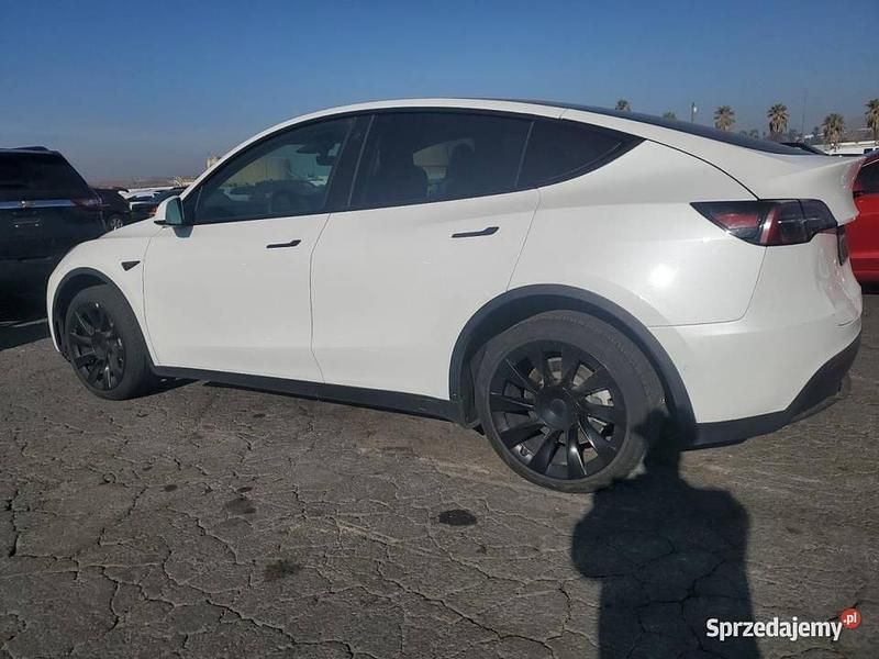 Biały Używany 2022 Tesla Model Y SUV | 91 800 zł - Obraz 1/4
