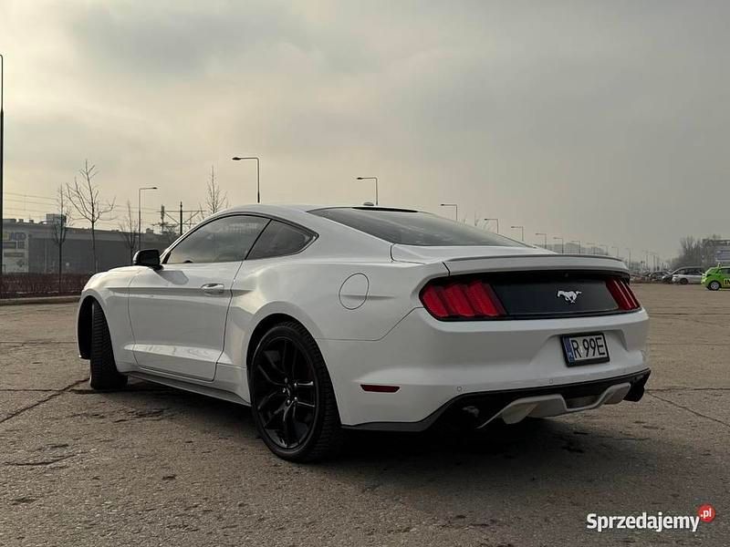 Używany Ford Mustang Performance Edition 372 KM (273 kW) 2015