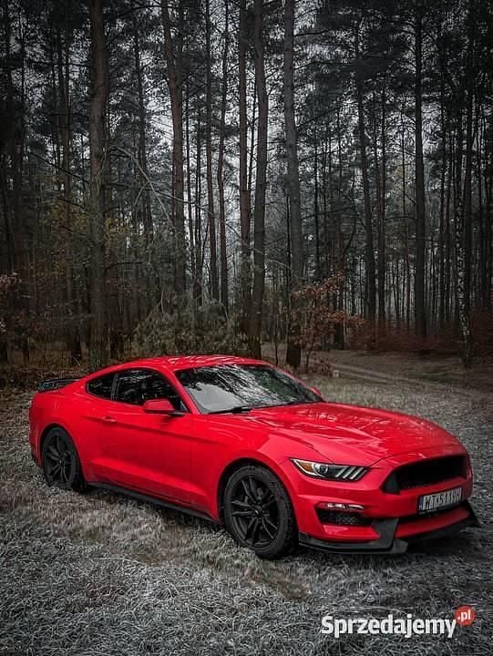 Używany Ford Mustang Premium 2016 Czerwony Coupe