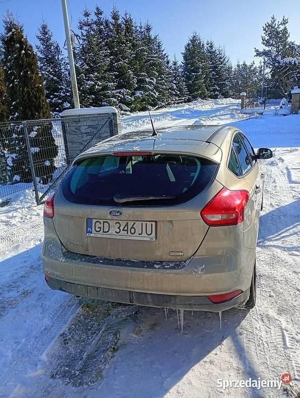 Używany Ford Focus 2015 Złoty Hatchback