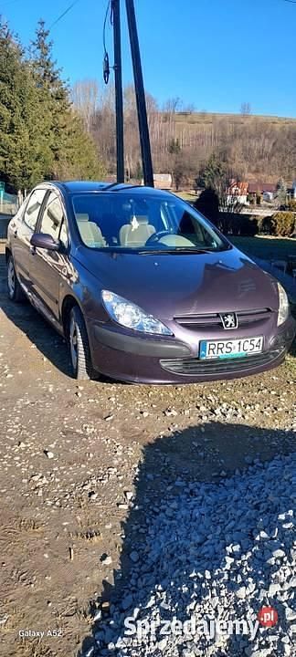 Używany Peugeot 307 2001 Fioletowy Hatchback