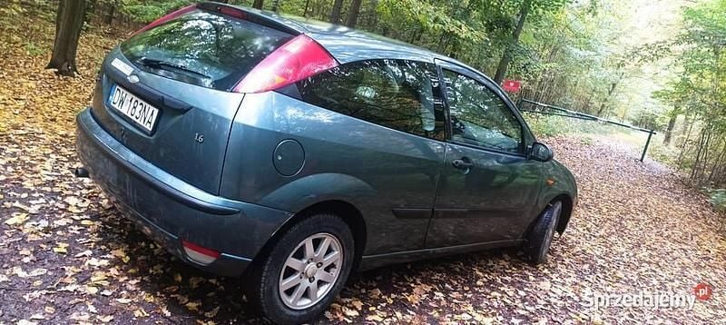 Używany 2003 Ford Focus | 1500 zł (Uczciwa cena) - Obraz 1/3