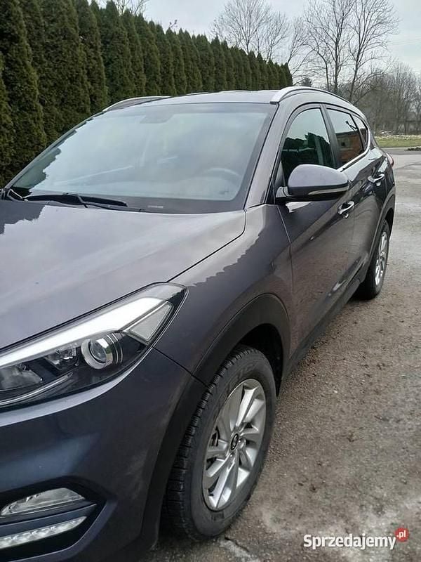 Używany Hyundai Tucson 2016 SUV