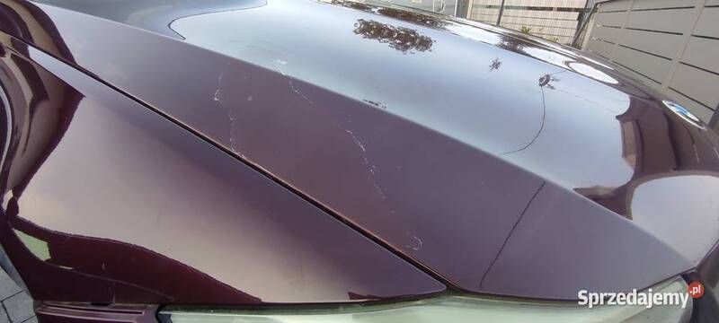 Używany BMW 320 2010