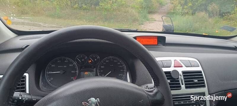 Używany Peugeot 307 109 KM (80 kW) 2006