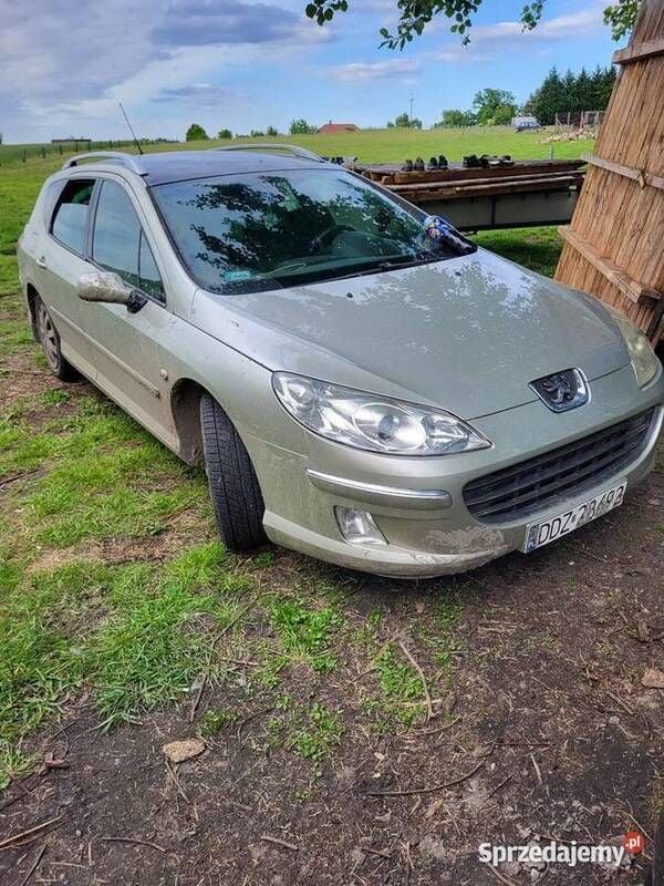 Używany Peugeot 407 136 KM (100 kW) 2007