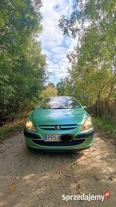 Używany 2002 Peugeot 307 | 3900 zł (Uczciwa cena) - Obraz 1/4