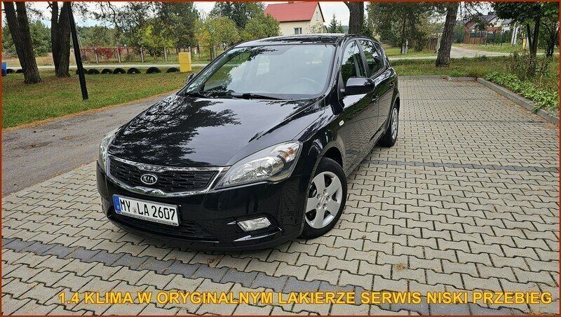 Obraz 3