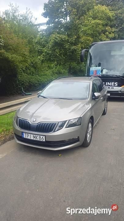 Złoty Używany 2019 Skoda Octavia Kombi | 48 000 zł (Super Cena) - Obraz 1/3