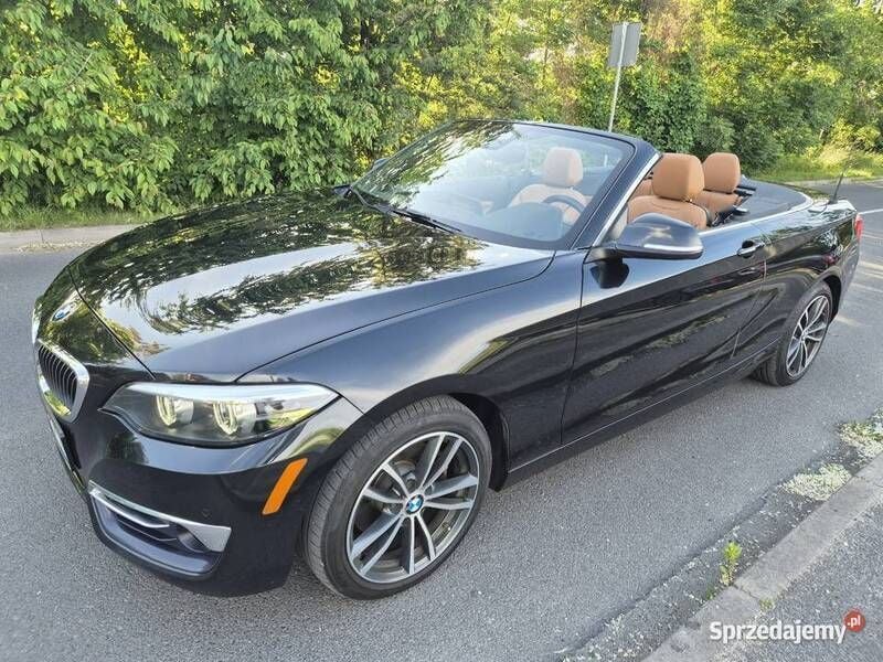 Używany 2019 BMW 230 Luxury Line Kabriolet | 59 900 zł - Obraz 1/4