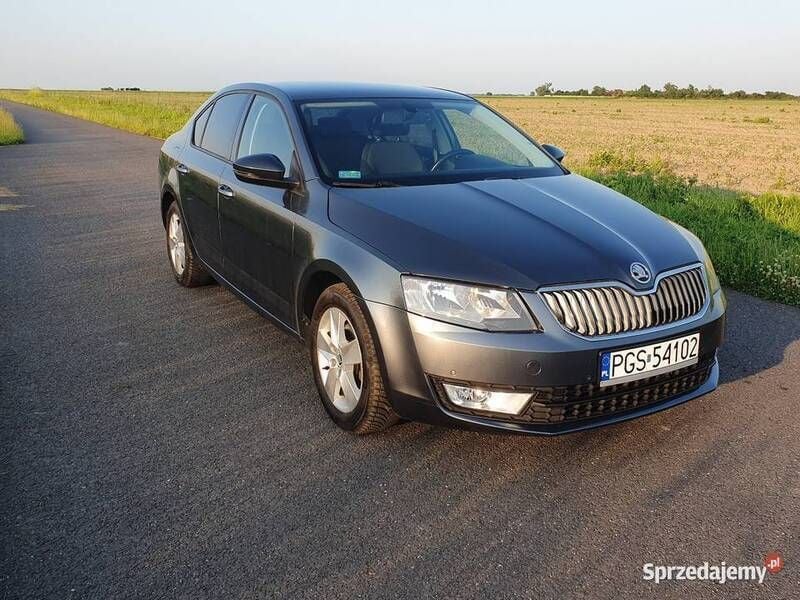 Używany Skoda Octavia Ambition 2015 Szary Hatchback