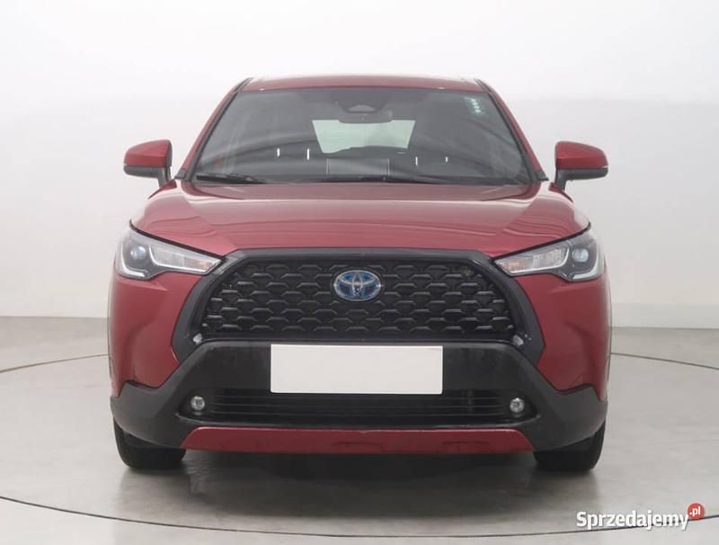 Używany Toyota Corolla Cross 2023 Bordowy SUV