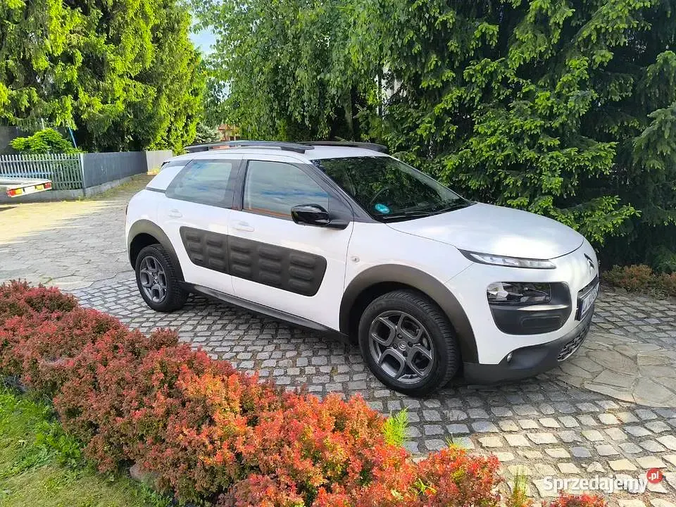 Uywany Citron C4 Cactus (2017) w Tarnw - 29 900 z | AutoUncle