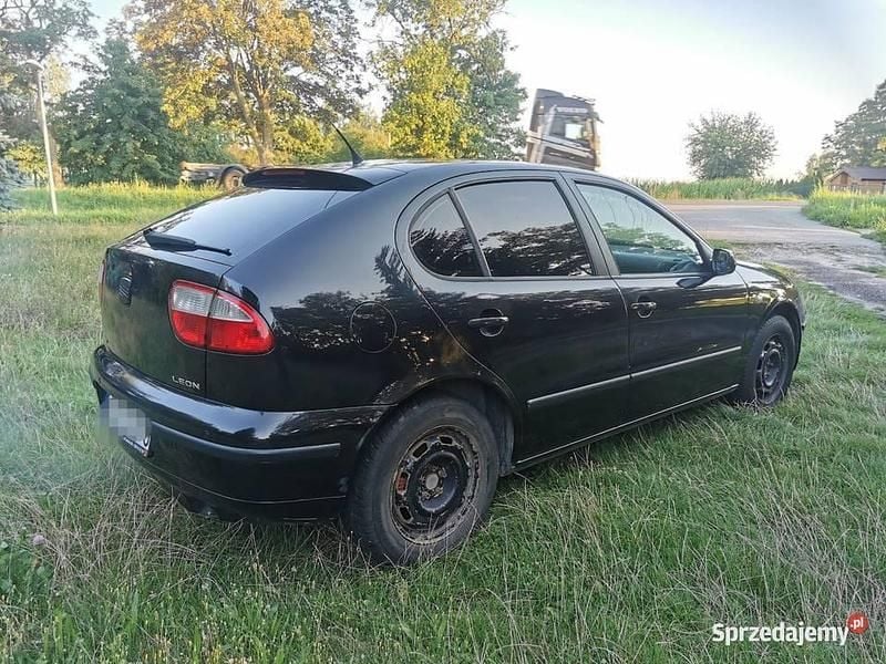 Używany 2002 Seat Leon | 1600 zł (Super Cena) - Obraz 1/4