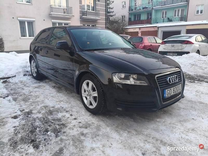 Używany Audi A3 160 KM (117 kW) 2009 Hatchback