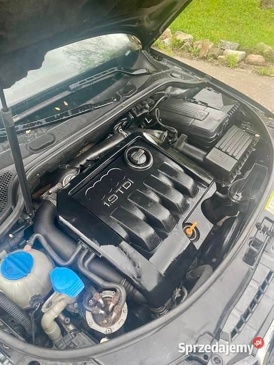 Używany 2006 Audi A3 | 8000 zł (Super Cena) - Obraz 1/4