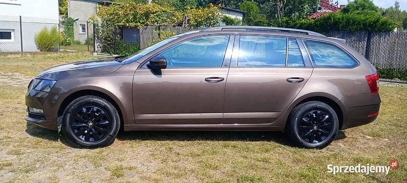 Brązowy Używany 2019 Skoda Octavia Kombi | 37 899 zł (Uczciwa cena) - Obraz 1/4