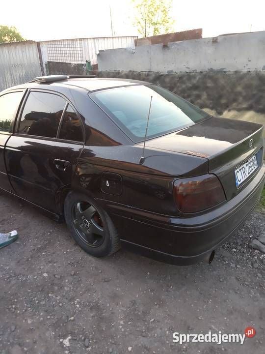 Obraz 2/3