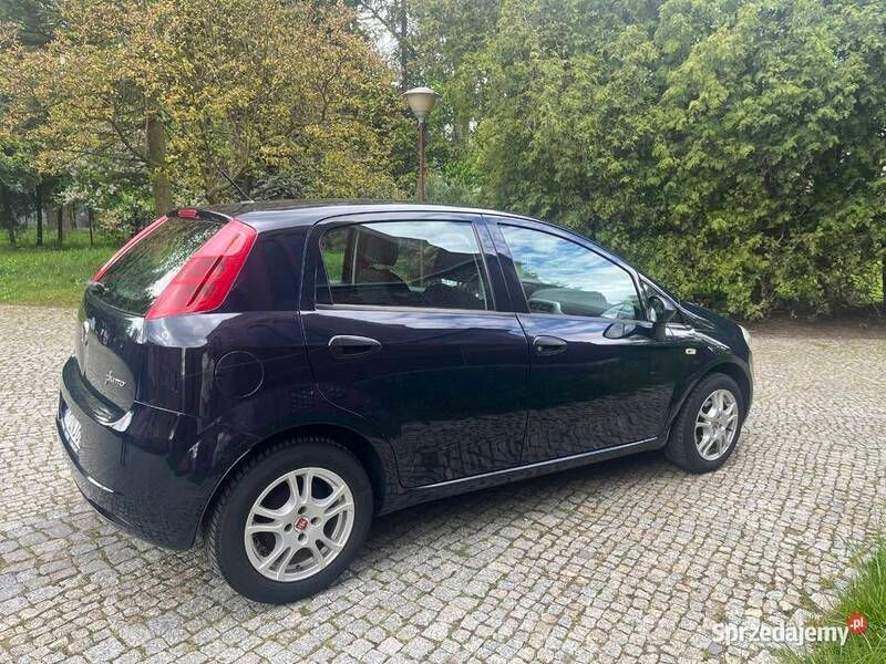 Używany Fiat Punto 2012 Hatchback