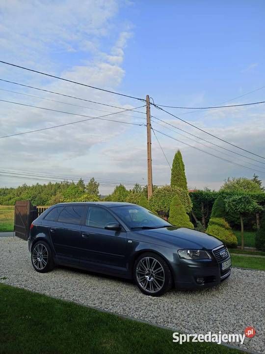 Używany 2008 Audi A3 Ambiente Hatchback | 23 000 zł (Dość drogi) - Obraz 1/4