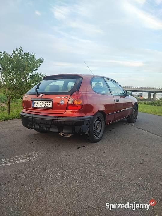 Obraz 2/4