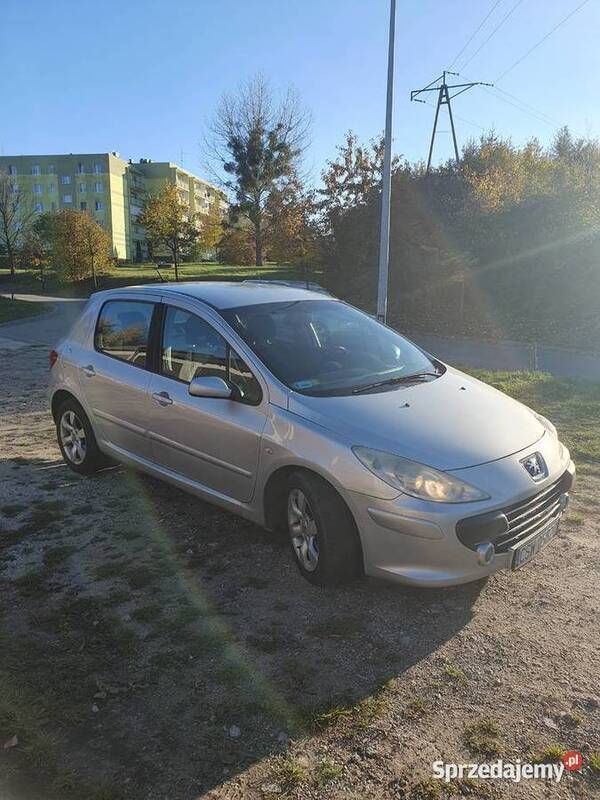 Używany 2007 Peugeot 307 | 6900 zł (Dość drogi) - Obraz 1/4