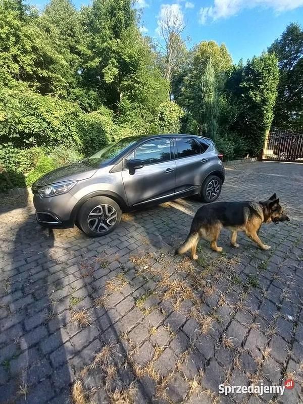 Używany 2017 Renault Captur SUV | 36 900 zł (Uczciwa cena) - Obraz 1/3