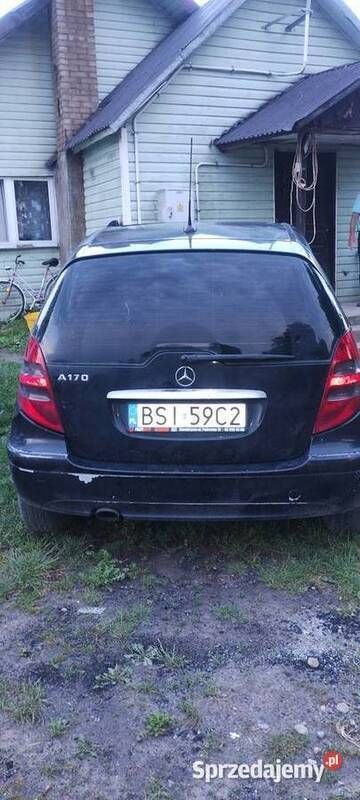 Obraz 3/4