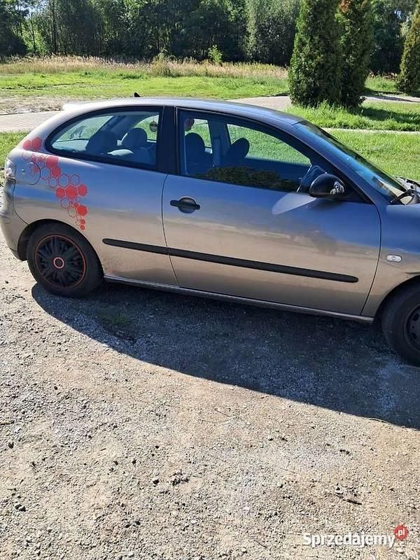 Używany Seat Ibiza 75 KM (55 kW) 2003 Hatchback