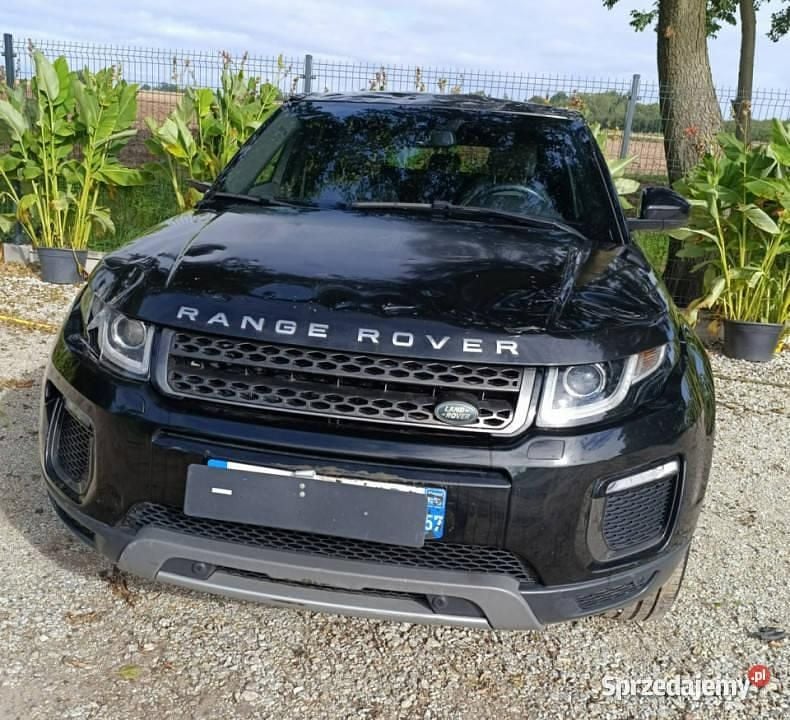 Używany Land Rover Range Rover evoque 150 KM (110 kW) 2017 Czarny SUV