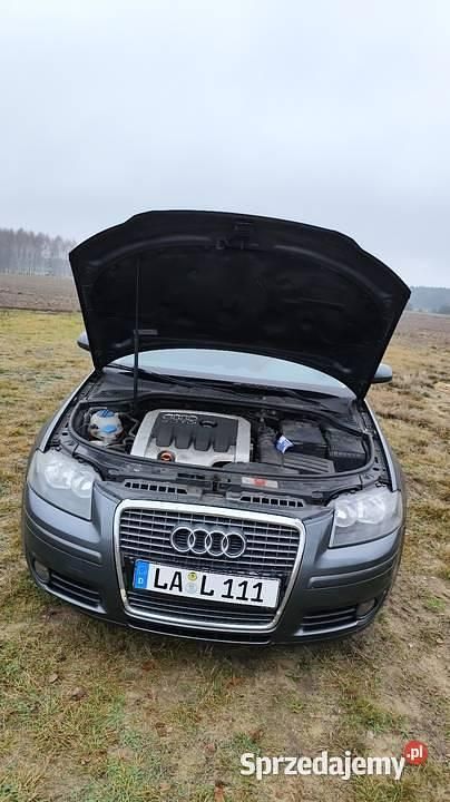 Używany Audi A3 2005 Grafitowy Hatchback