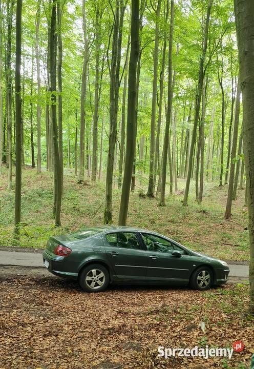 Używany Peugeot 407 136 KM (100 kW) 2007