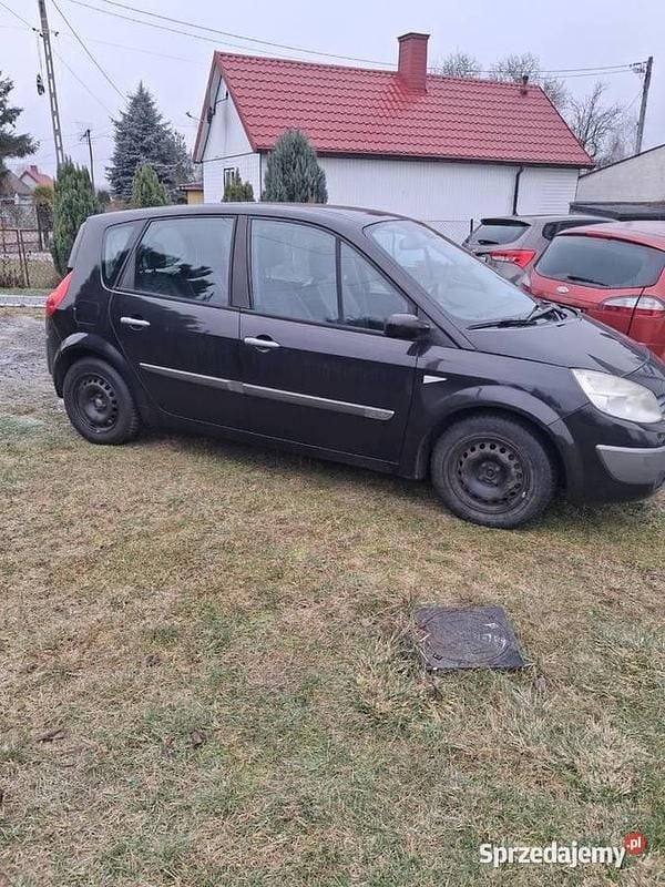 Używany Renault Scénic II 2005 Minivan