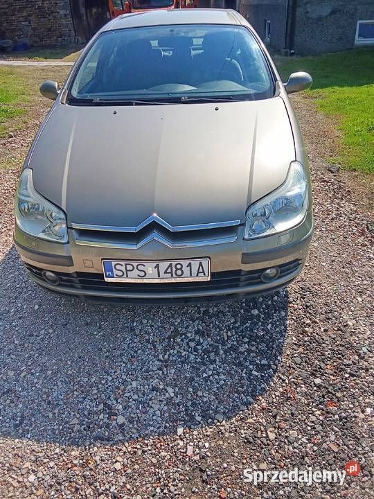 Obraz 3/4